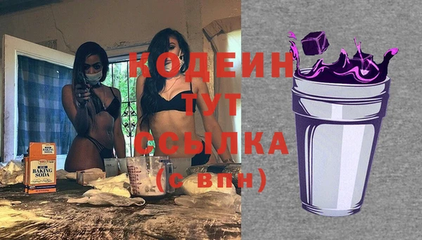 дмт Корсаков
