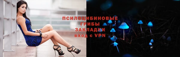 a pvp Костерёво