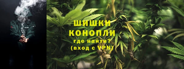 дмт Корсаков