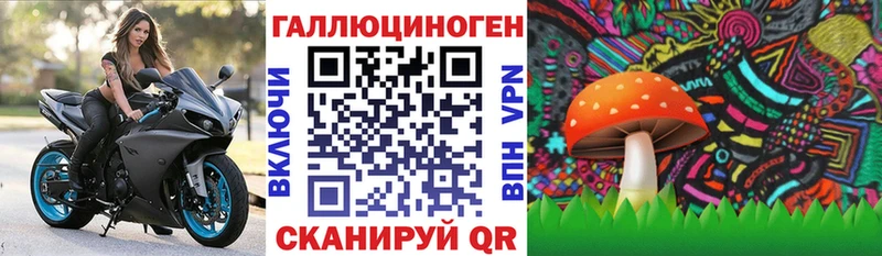 Псилоцибиновые грибы Magic Shrooms  Купить закладки  Хилок 