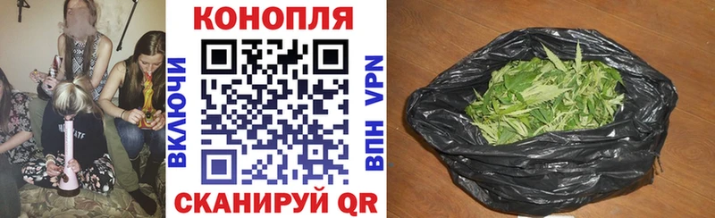 Каннабис OG Kush  Купить закладки  Хилок 